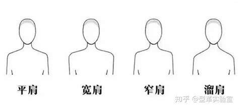 身形比例修饰